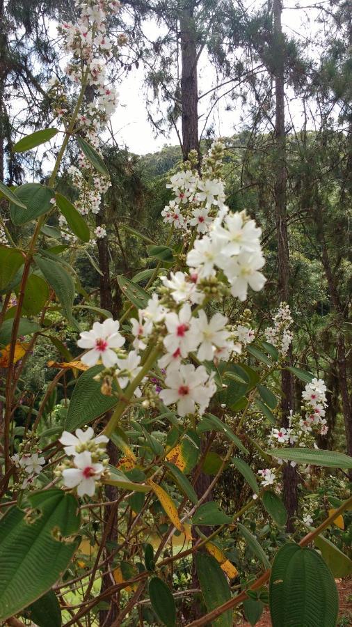 Sitio Cachoeirinha - Araguaia Marechal Floriano Bagian luar foto